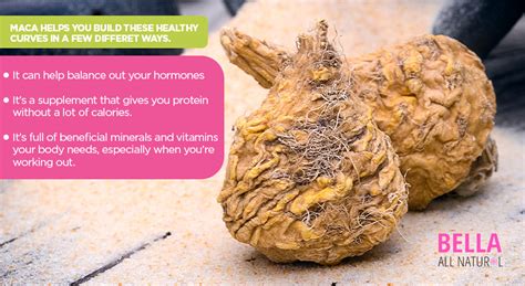 maca root for the butt|Taking Maca for Curves and Larger Buttocks: Does It .
